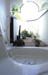 View shower
